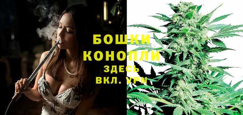 Шишки марихуана Ganja  Бор 